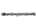 F303 Hydraulic Roller Camshaft