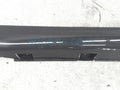 Passenger Side Moulding