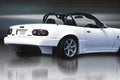 Type-N 3 Piece Body Kit