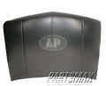 Hood Panel