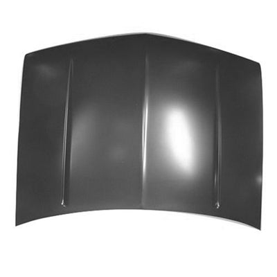 Hood Panel