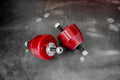 E30 24V Swap Motor Mount Bushings