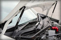 Carbon Strut Damper Kit