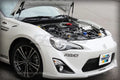 Carbon Strut Damper Kit