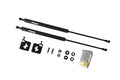 Carbon Strut Damper Kit