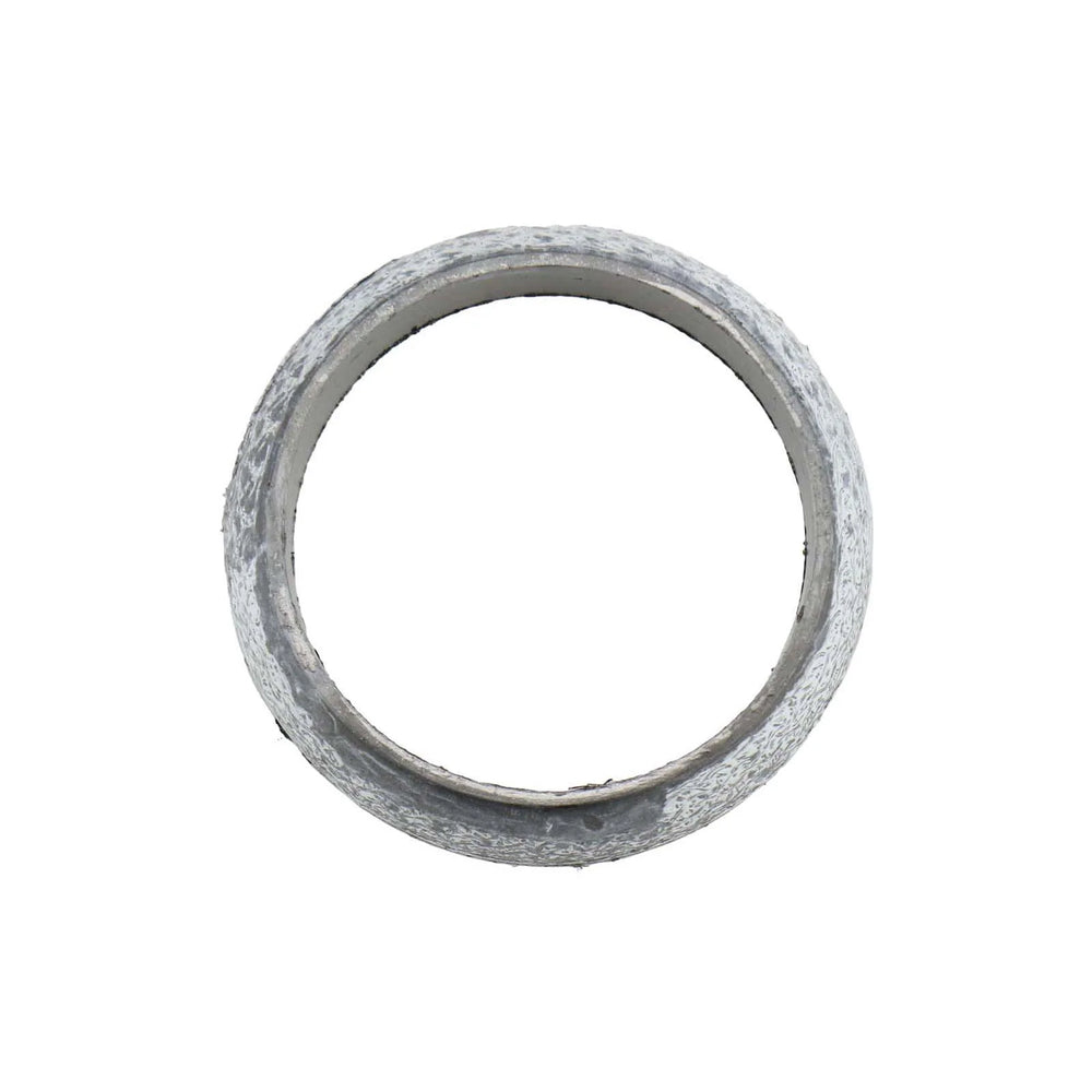 Exhaust Gasket