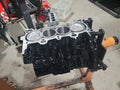 D16Z6 Remanufactured Short Block