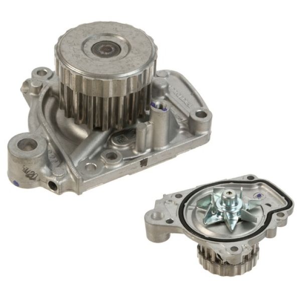 Water Pump Assembly