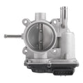 Throttle Body Assembly