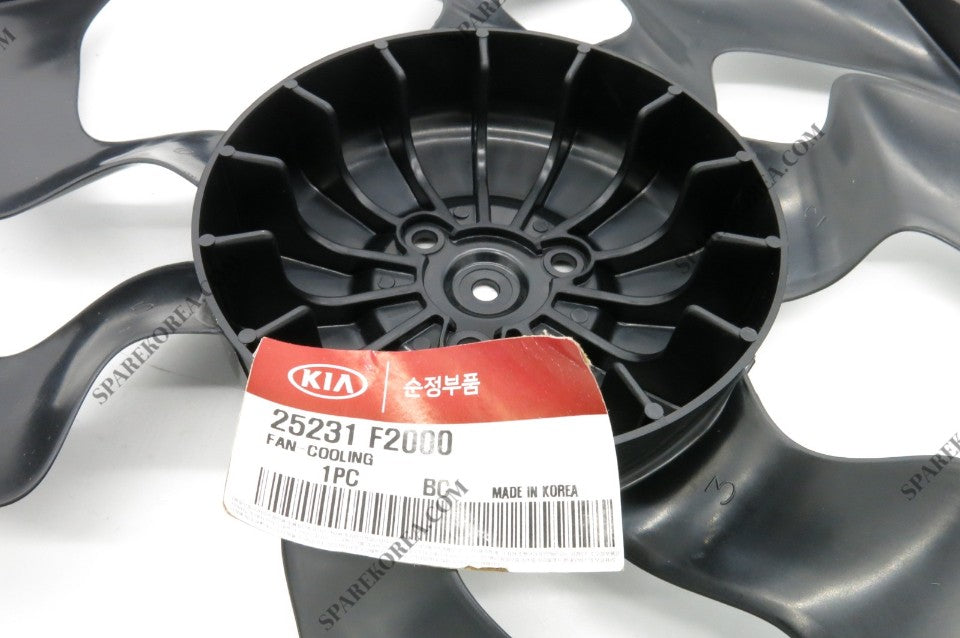 Radiator Fan