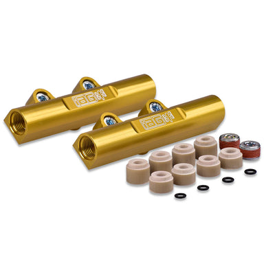 PTFE Fuel System Kit with Fuel Rails and Regulator