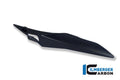 Carbon Fiber Rear Chain Guard