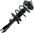 Front Strut Assembly Pair