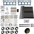 6.0L Powerstroke Revive Kit #3