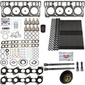 6.0L Powerstroke Revive Kit #3