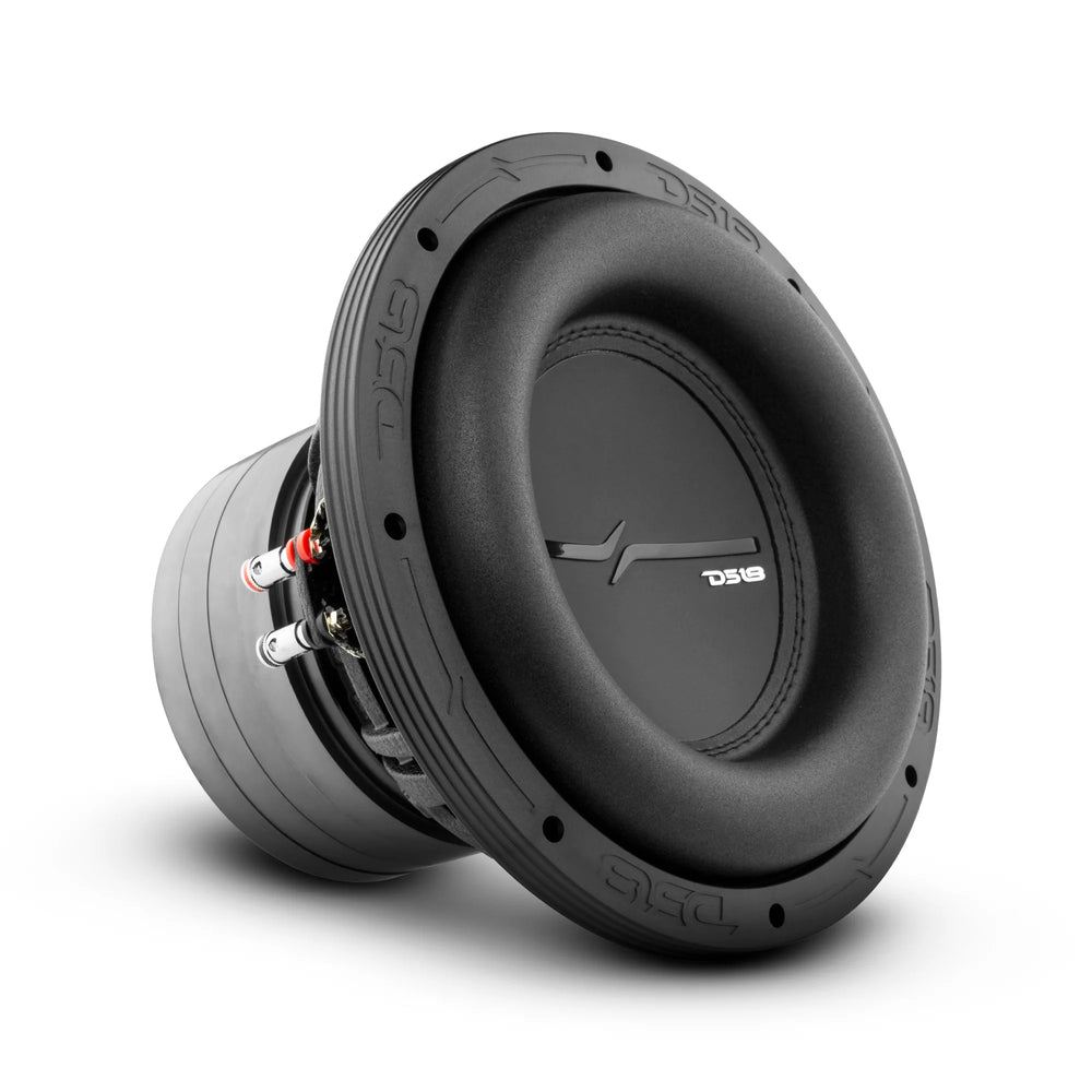 10-Inch Dual 2-Ohm Car Audio Subwoofer