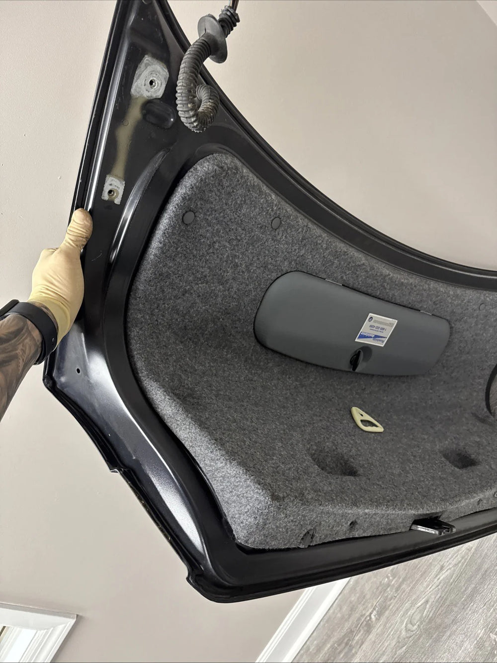 Trunk Lid