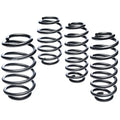 Pro-Kit Lowering Springs