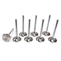 6000 Series Competition Valves