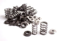 Dual Valve Spring Kit