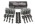 Dual Valve Spring Kit for LS Engines