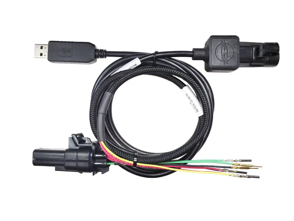 ECU Flash Service