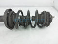 Genuine Strut Assembly, Driver Side