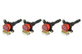 IP Coil Set