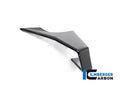 Carbon Winglet, Left Side
