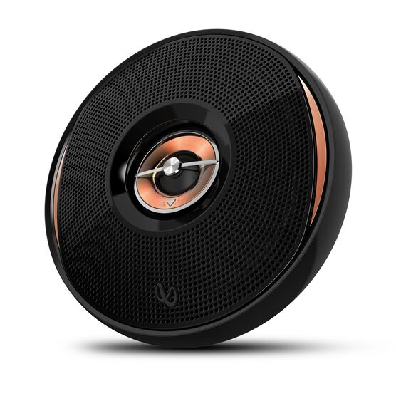 6-1/2" Two-Way Multi-Element Speaker