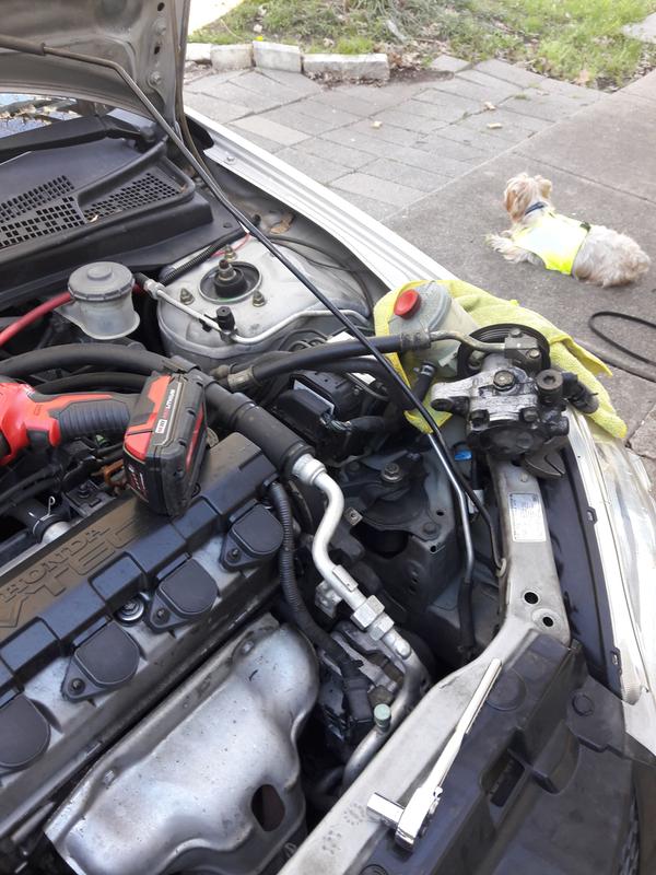 Gold New Alternator