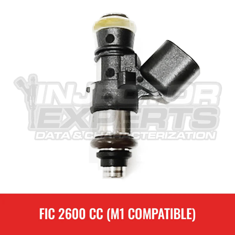 2600 CC / 250 LB Fuel Injector