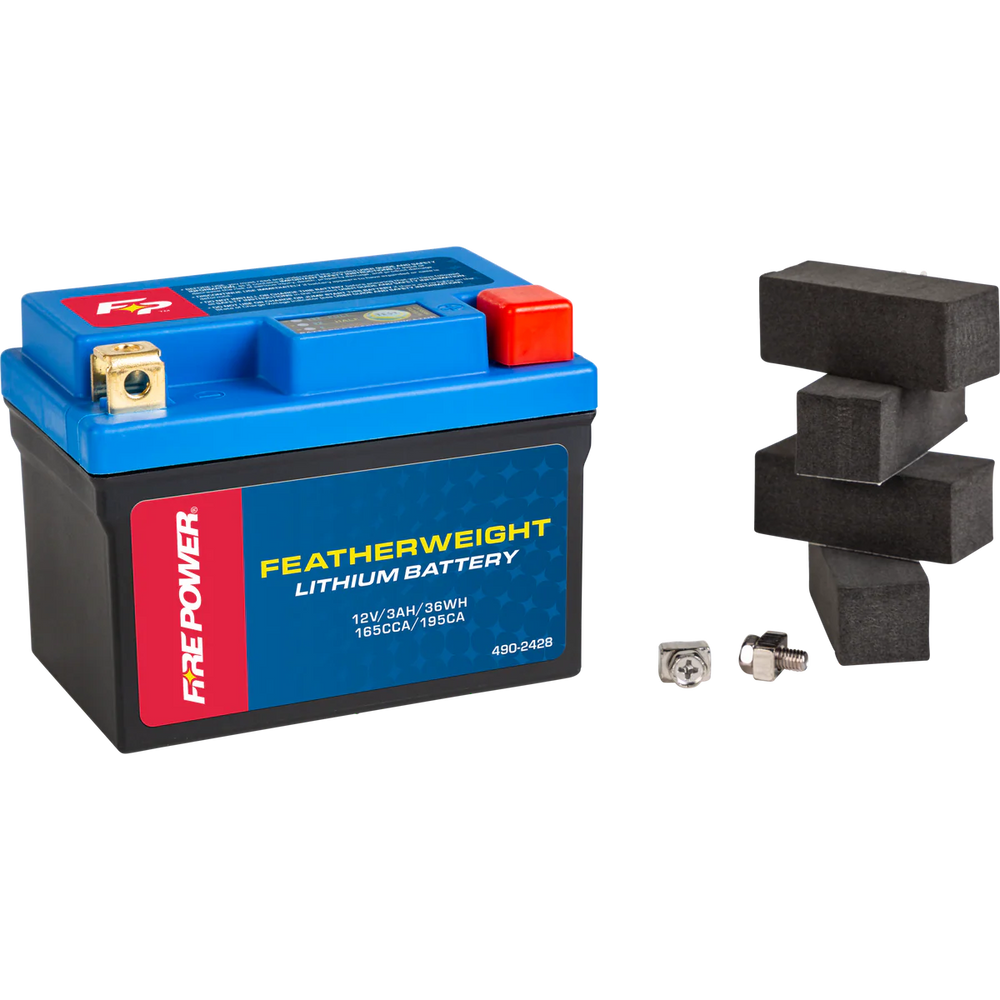 Lithium Iron Polymer Battery