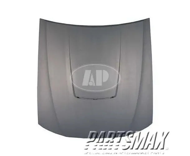 Hood Panel Assembly
