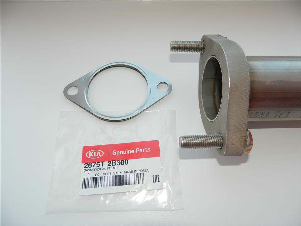 Exhaust Pipe Gasket