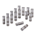 Hydraulic Roller Lifter Set