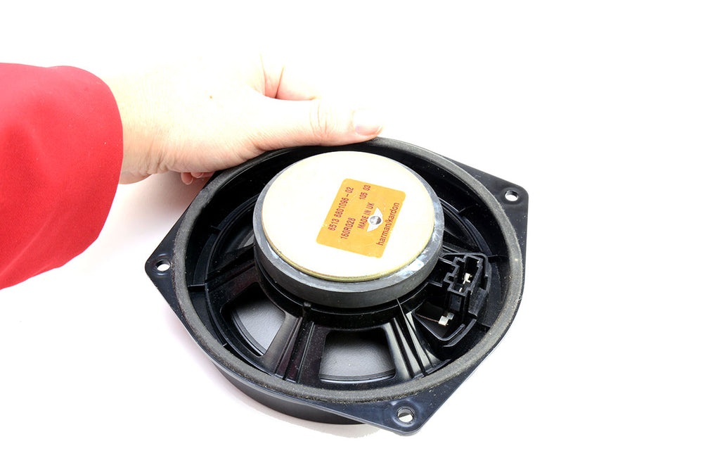 Front Lower Door Speaker