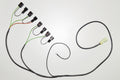 iQSE-W1-QSH-P4A Quickshifter Module