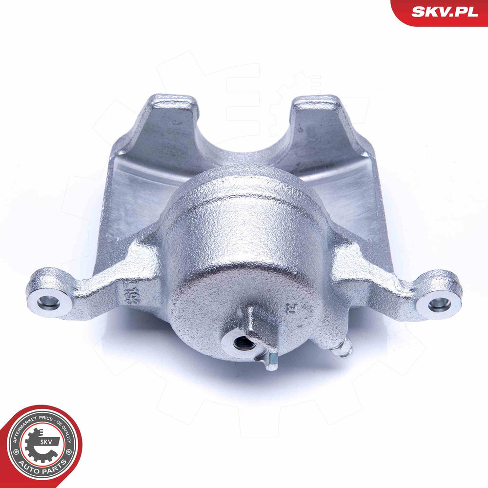 Right Front Caliper Sub-Assembly
