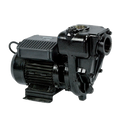 E300 PUMP 220V/60HZ ARL 2'NPT - REQ