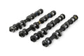 Kelford Cams auto part