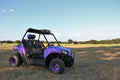 09C POLARIS RZR 170 RZR 170 TOP