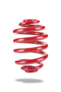 Pedders 04-06 Pontiac GTO Drag Race Strut and Spring Suspension Kit