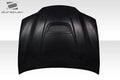 2013-2015 Lexus GS Series G200 GS300 GS350 GS450 GS450H Duraflex Alpine Hood - 2 Pieces