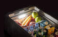Blizzard Box 56-Quart Single Zone Portable Electric Cooler ? Iceless Refrigerator and Freezer??