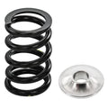 82# Ecotec Valve Springs & Titanium Retainers