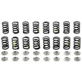 82# Ecotec Valve Springs & Titanium Retainers