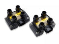 Screamin Demon Ignition Coil