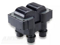 Screamin Demon Ignition Coil