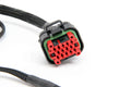 DINANTRONICS ELITE FOR LATE F54/F56